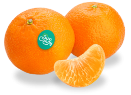 SunCandyTM Citrus Clementine Mandarins Product Images
