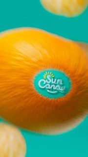 With great juicy power comes great *possibility* 🍊✨ SunCandy is proud to partner with World Champion Skeleton Racer and Citrus Lover @hallieclarke_  
 
Watch her #peelthepossibility on her way to the podium 🍊✨🔥
 
#citruslove #teamcanada #ibsfsliding #livelifejuicy #worldchampion #ready2slide